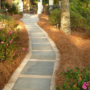 Bayshore Landscapes