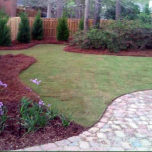 Flower bed design & Maintenance