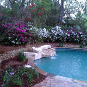 landscape design