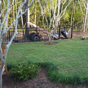 Lawn Care