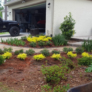 Yard Care