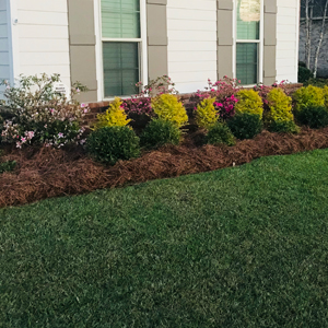 Landscape Design & Fencing
