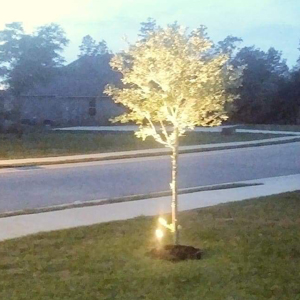 Outdoor Lighting
